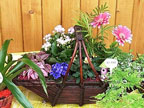 plantes chatte 38 isere - 